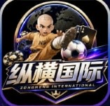 纵横国际